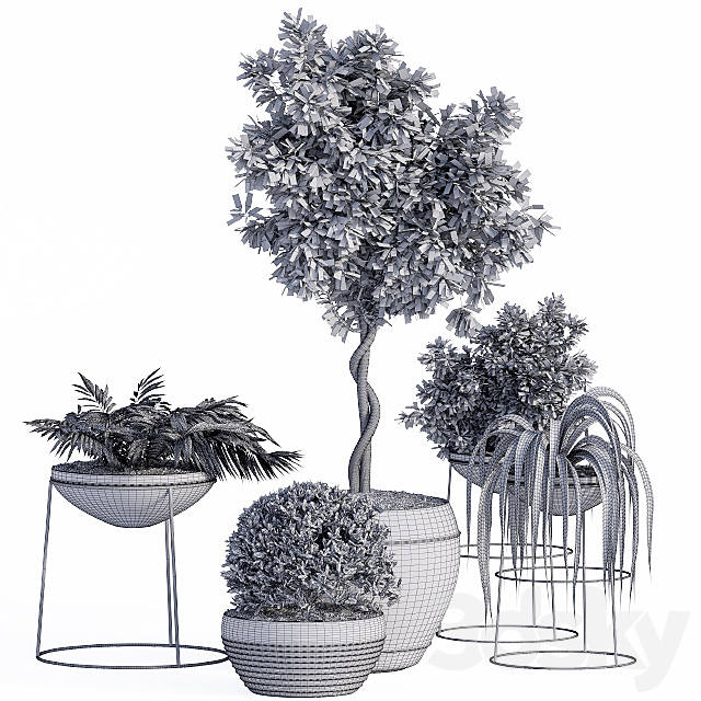 Outdoor Plants Full Set 3DSMax File - thumbnail 4