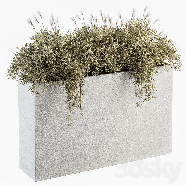 Outdoor Plants in Concrete Plant Box – Set 165 3ds Max - thumbnail 1