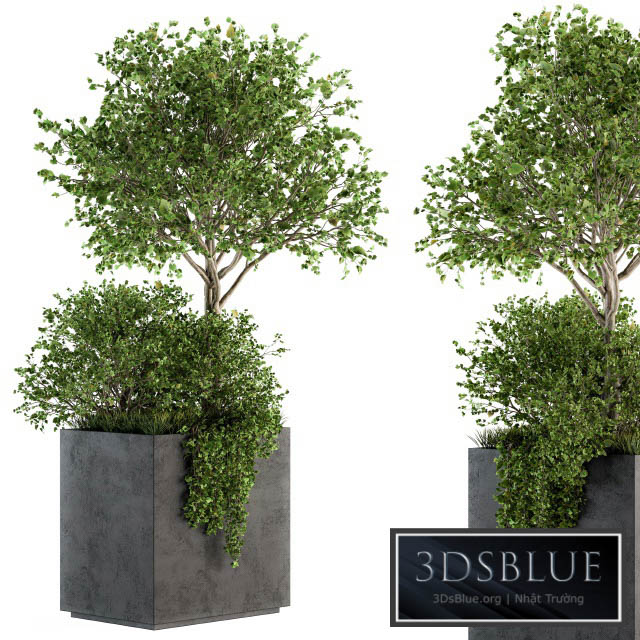 Outdoor Plants in Concrete Plant Box – Set 93 3DS Max - thumbnail 3