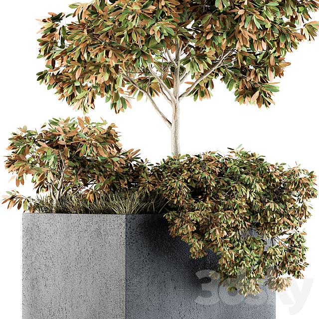 Outdoor Plants in Concrete Plant Box – Set 98 3DS Max Model - thumbnail 2