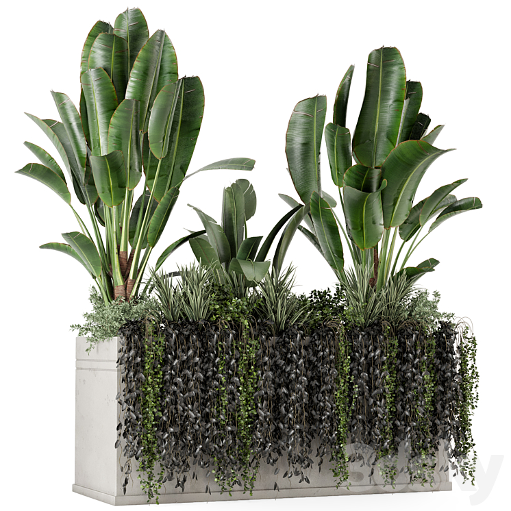 Outdoor Plants in Concrete Pot-Set 519 3DS Max Model - thumbnail 1