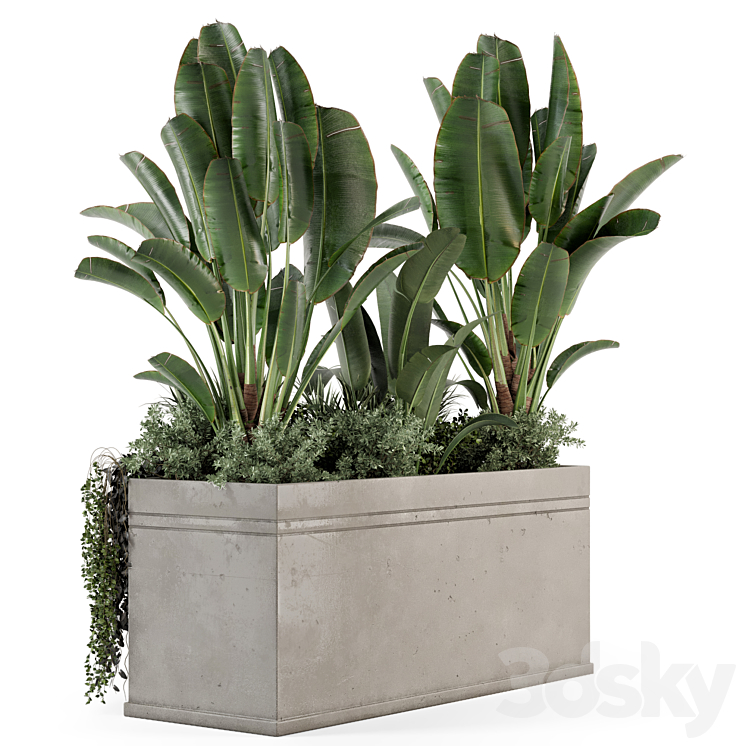 Outdoor Plants in Concrete Pot-Set 519 3DS Max Model - thumbnail 2
