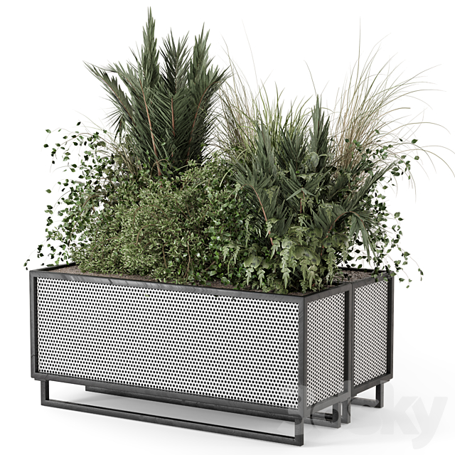 Outdoor Plants in Metal Pots – Set 2086 3ds Max - thumbnail 1