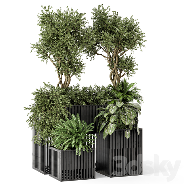 Outdoor Plants in Metal Pots – Set 802 3ds Max - thumbnail 2