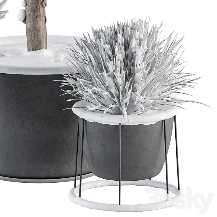 Outdoor Plants in Pot Snowy – Set 346 3DS Max Model - thumbnail 2