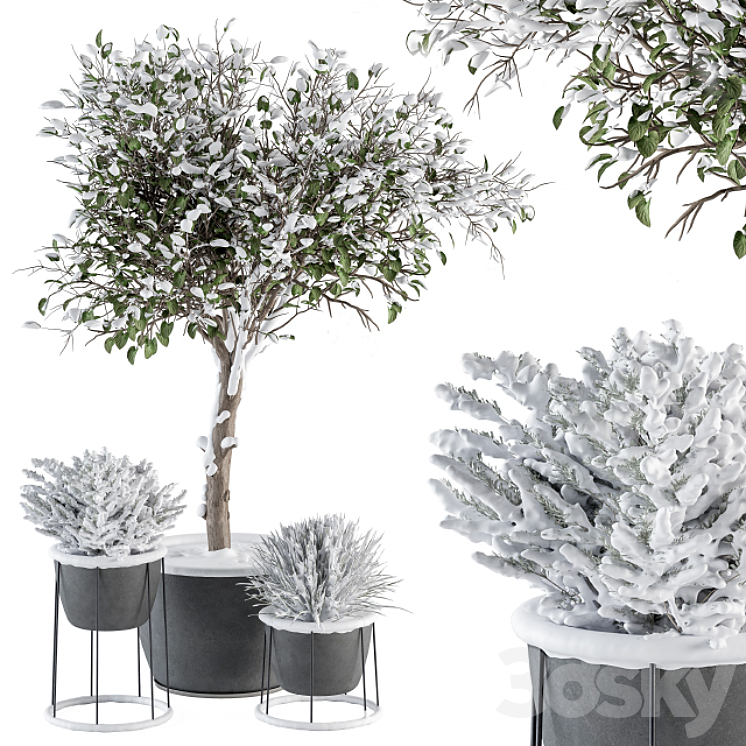 Outdoor Plants in Pot Snowy – Set 346 3DS Max Model - thumbnail 3