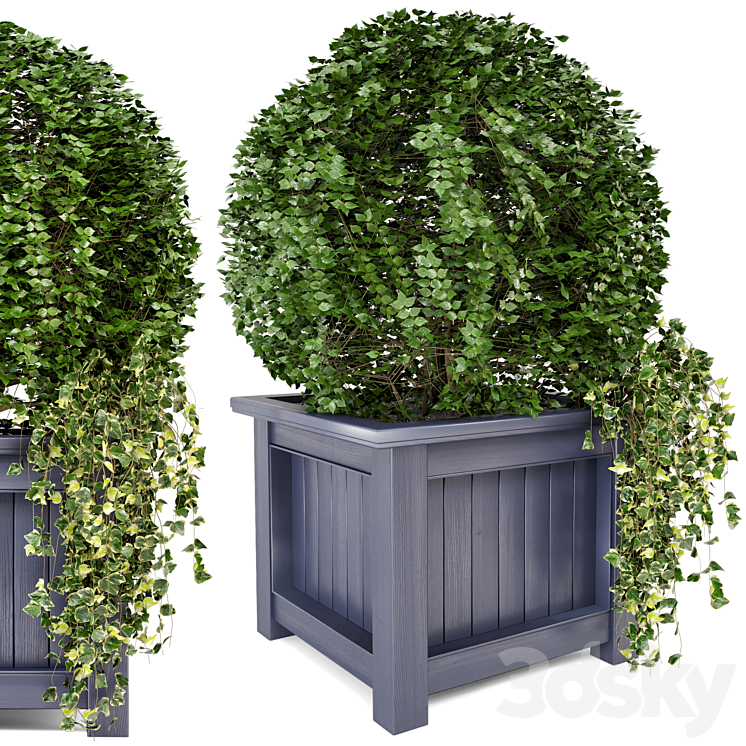 Outdoor Plants in Wooden Pot – Set 34 3DS Max - thumbnail 2