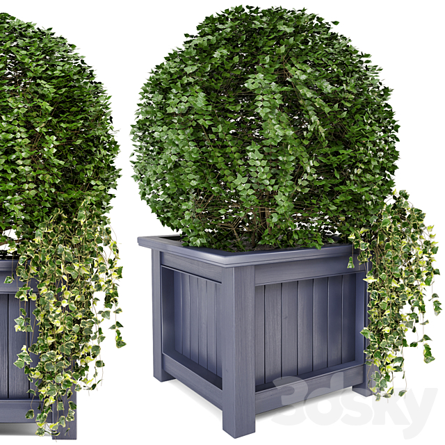 Outdoor Plants in Wooden Pot – Set 34 3DSMax File - thumbnail 2