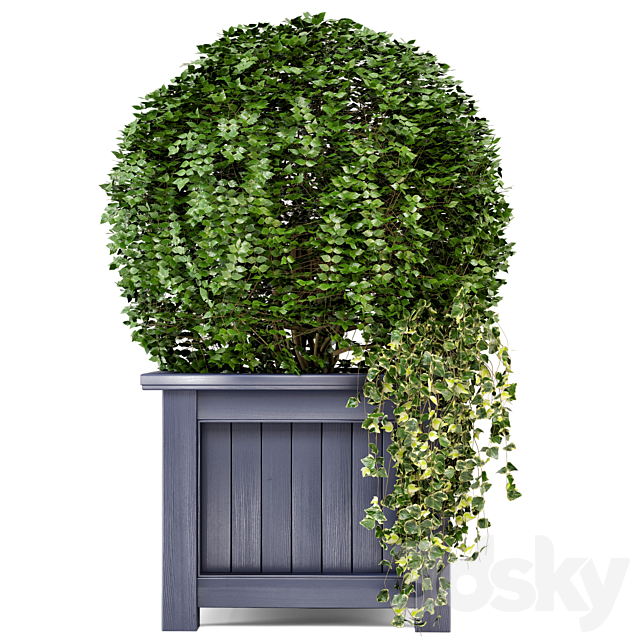 Outdoor Plants in Wooden Pot – Set 34 3DSMax File - thumbnail 3