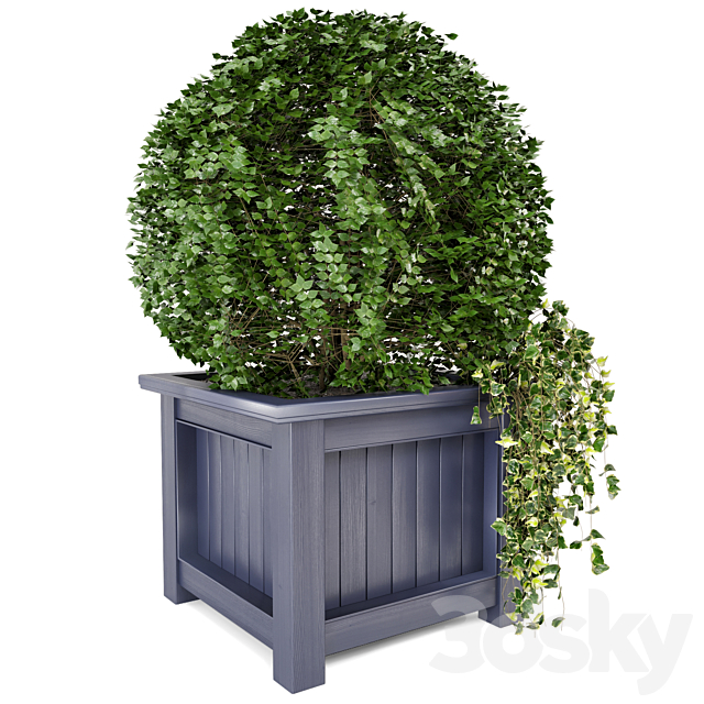 Outdoor Plants in Wooden Pot – Set 34 3DSMax File - thumbnail 4