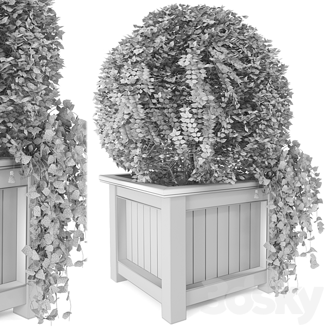 Outdoor Plants in Wooden Pot – Set 34 3DSMax File - thumbnail 5