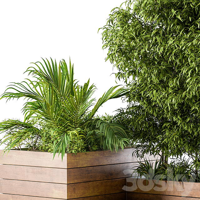 Outdoor Plants L Type Box 3DS Max Model - thumbnail 2