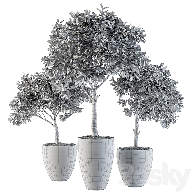 Outdoor Plants lemon tree – Set 97 3DS Max Model - thumbnail 5