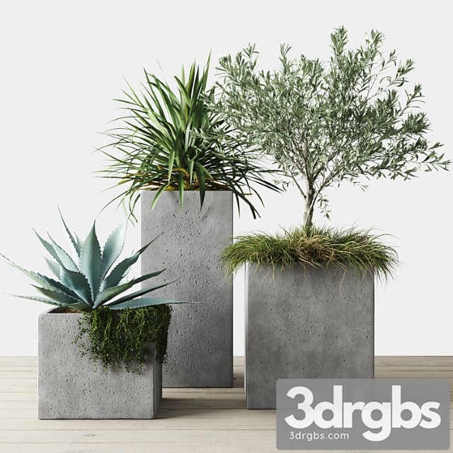 Outdoor plants set in pottery barn planters - thumbnail 1