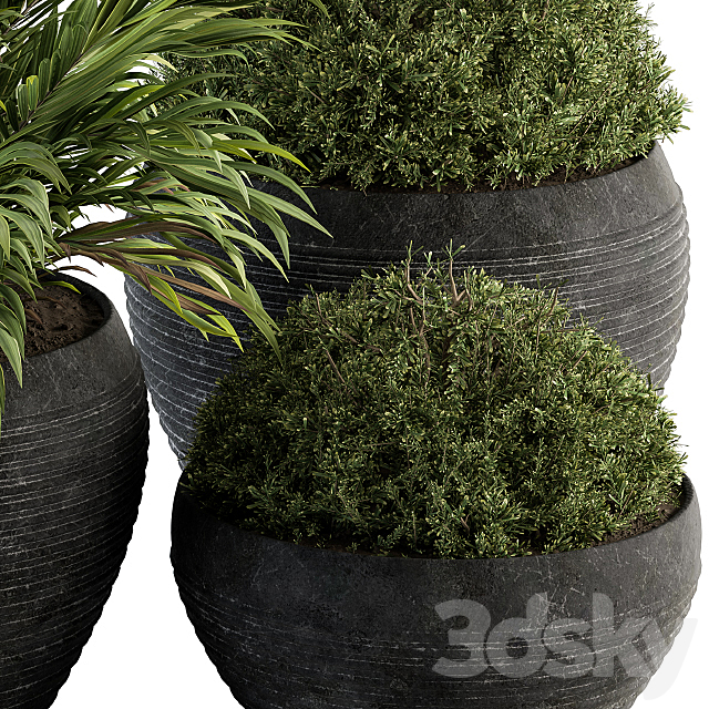 Outdoor Plants tree in Concrete Pot – Set 104 3DS Max Model - thumbnail 2