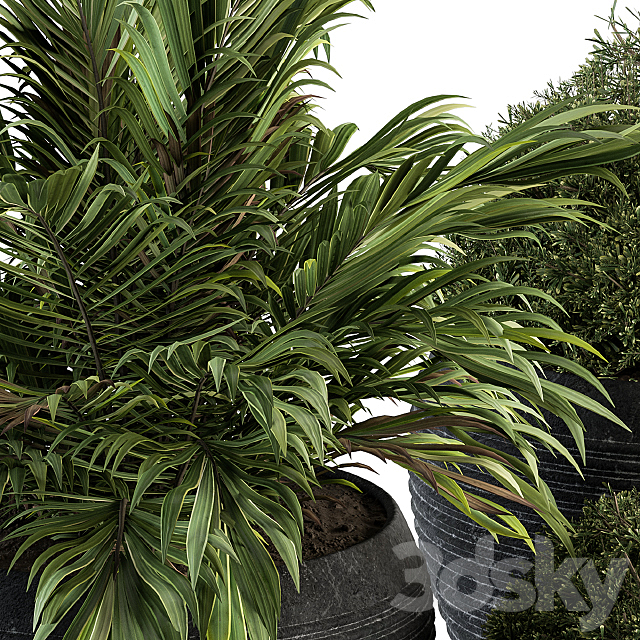 Outdoor Plants tree in Concrete Pot – Set 104 3DS Max Model - thumbnail 3