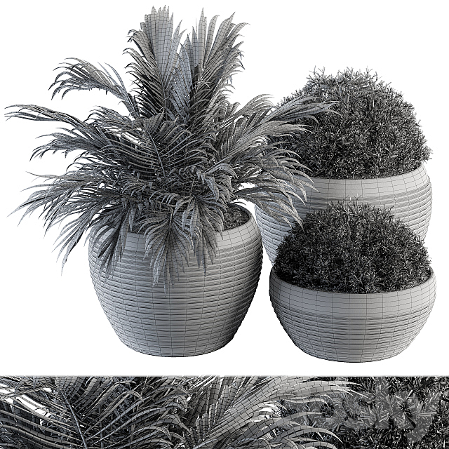 Outdoor Plants tree in Concrete Pot – Set 104 3DS Max Model - thumbnail 4