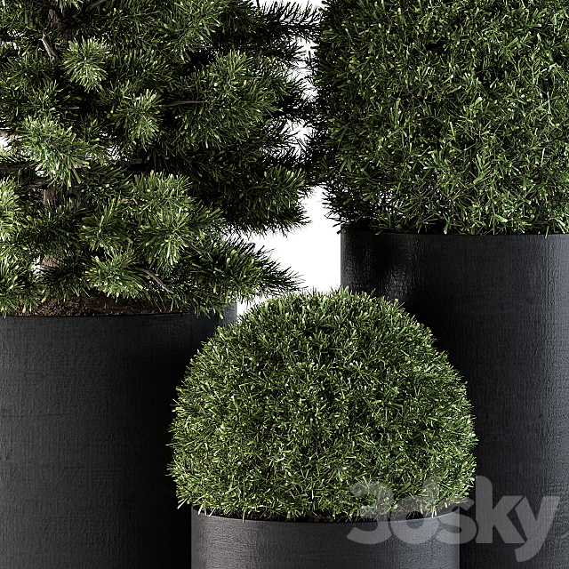 Outdoor Plants tree in Concrete Pot – Set 110 3DSMax File - thumbnail 2