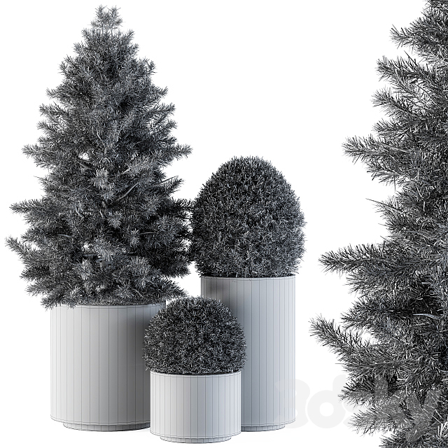 Outdoor Plants tree in Concrete Pot – Set 110 3DSMax File - thumbnail 4