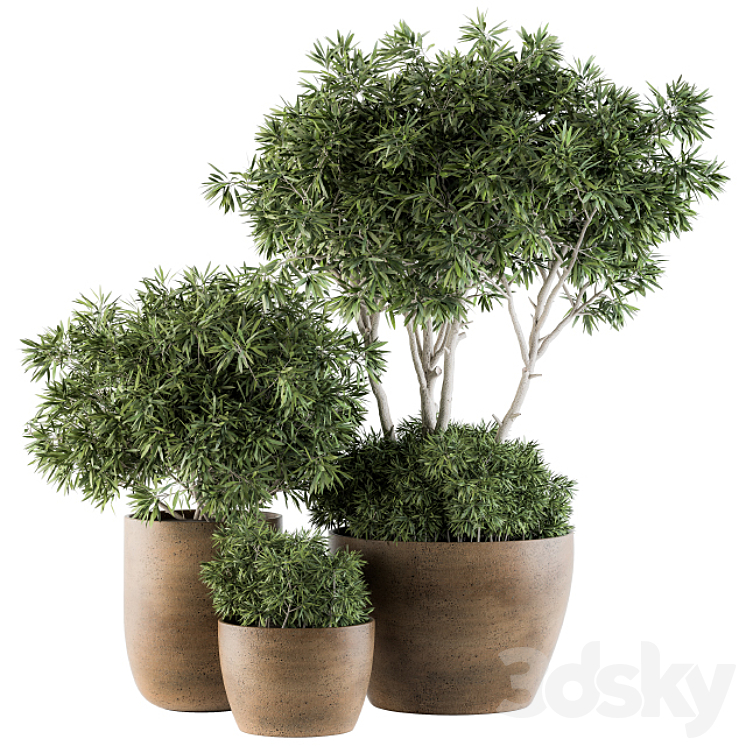 Outdoor Plants tree in Concrete Pot – Set 111 3DS Max - thumbnail 1