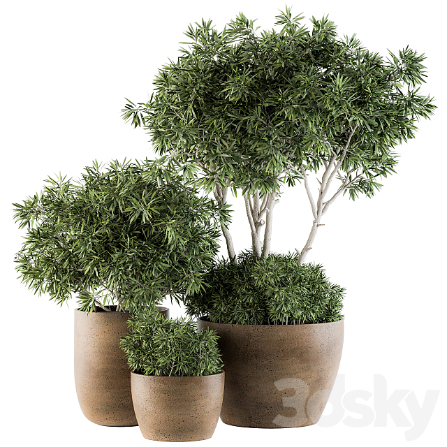 Outdoor Plants tree in Concrete Pot – Set 111 3DSMax File - thumbnail 1