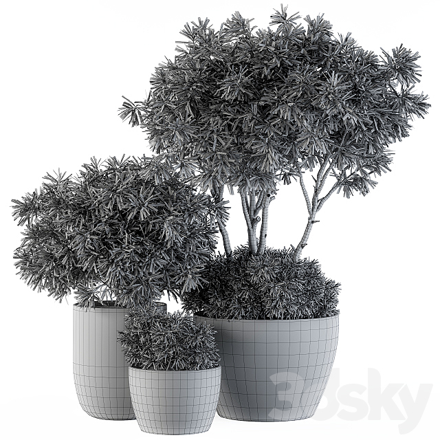 Outdoor Plants tree in Concrete Pot – Set 111 3DSMax File - thumbnail 5