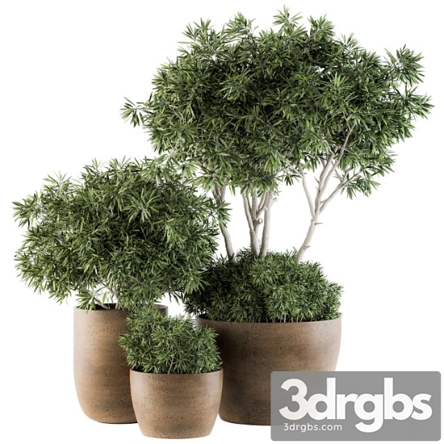 Outdoor plants tree in concrete pot – set 111 - thumbnail 1