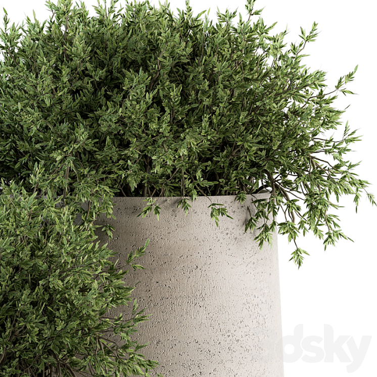 Outdoor Plants tree in Concrete pot – Set 125 3DS Max - thumbnail 2