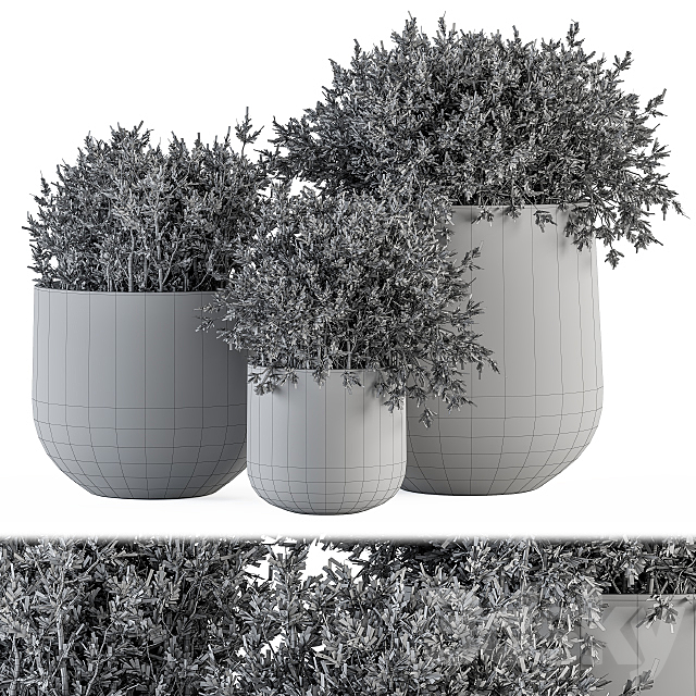 Outdoor Plants tree in Concrete pot – Set 125 3DSMax File - thumbnail 4