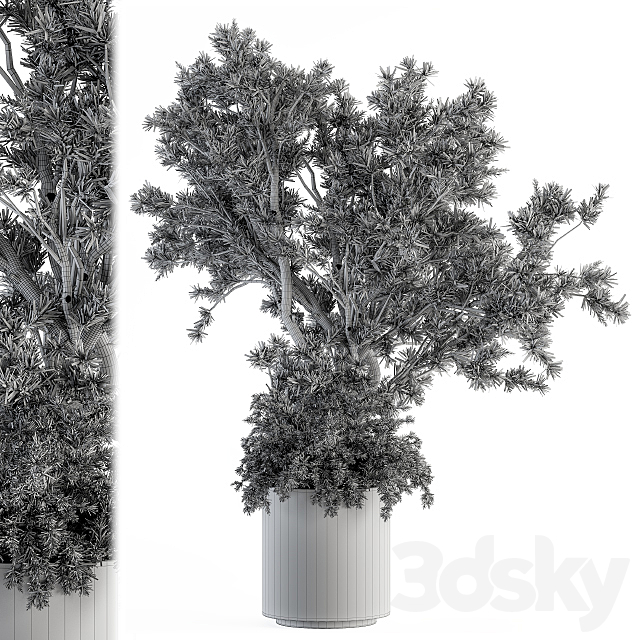 Outdoor Plants tree in Concrete Pot – Set 130 3DS Max Model - thumbnail 4