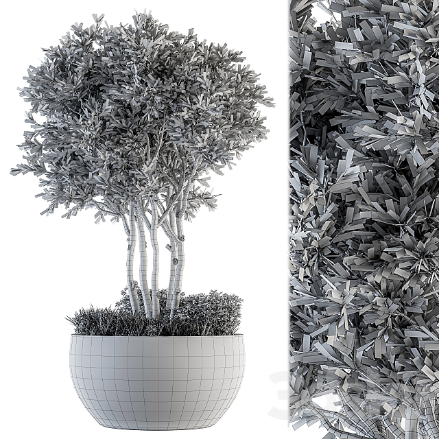 Outdoor Plants tree in Concrete Pot – Set 135 3DS Max Model - thumbnail 4