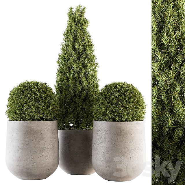 Outdoor Plants tree in Concrete Pot – Set 143 3ds Max - thumbnail 1