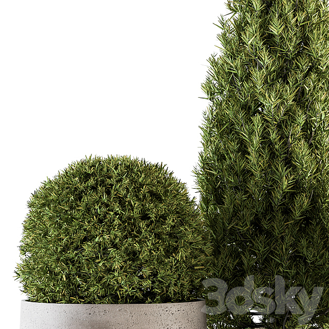 Outdoor Plants tree in Concrete Pot – Set 143 3ds Max - thumbnail 3