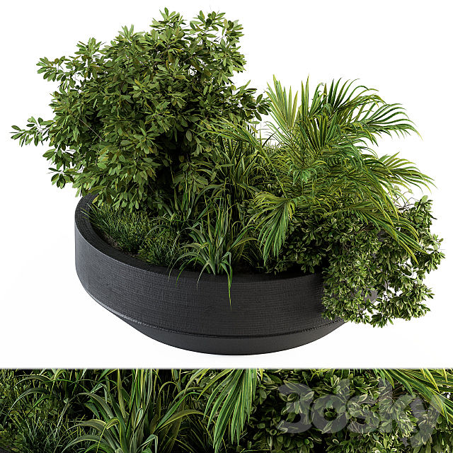 Outdoor Plants tree in Concrete Pot – Set 144 3DS Max Model - thumbnail 2