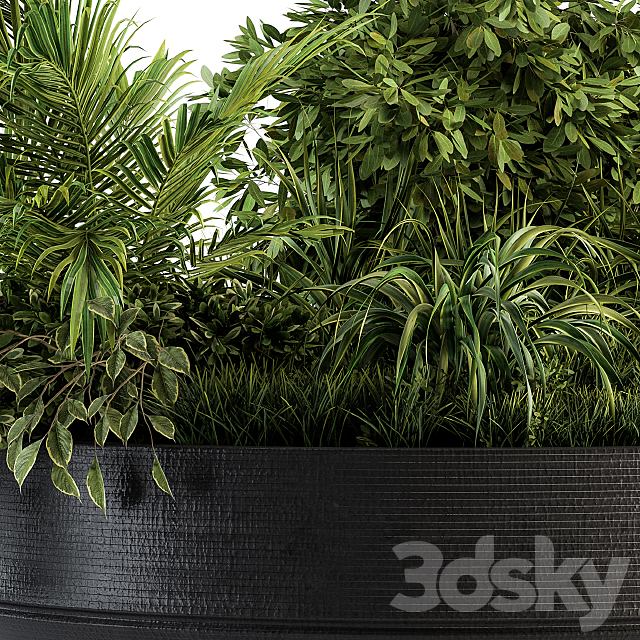 Outdoor Plants tree in Concrete Pot – Set 144 3DS Max Model - thumbnail 3