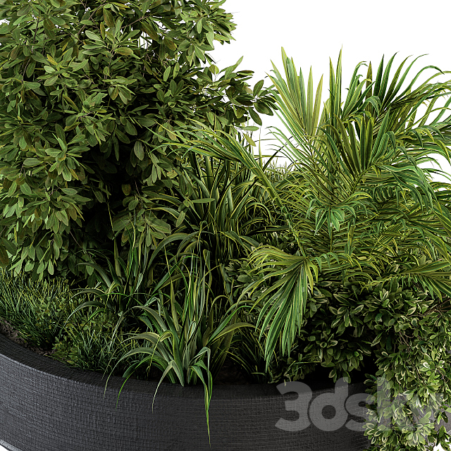 Outdoor Plants tree in Concrete Pot – Set 144 3DS Max Model - thumbnail 4