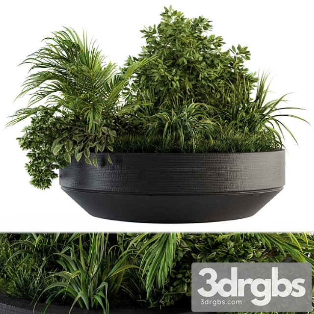 Outdoor plants tree in concrete pot – set 144 - thumbnail 1