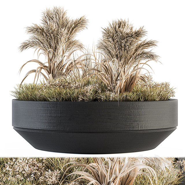 Outdoor Plants tree in Concrete Pot – Set 147 3DSMax File - thumbnail 1