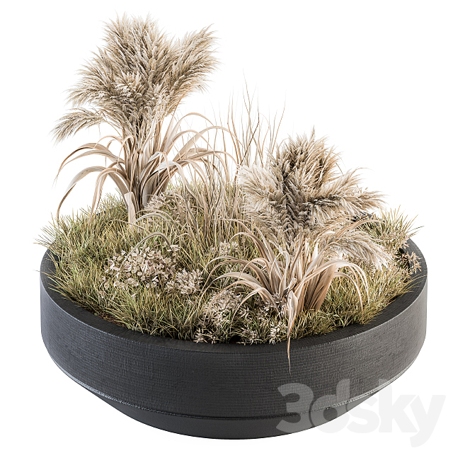 Outdoor Plants tree in Concrete Pot – Set 147 3DSMax File - thumbnail 2