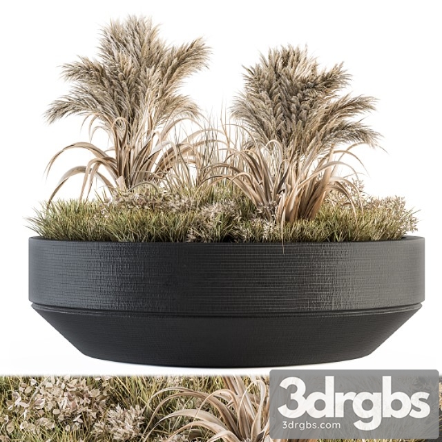 Outdoor plants tree in concrete pot – set 147 - thumbnail 1