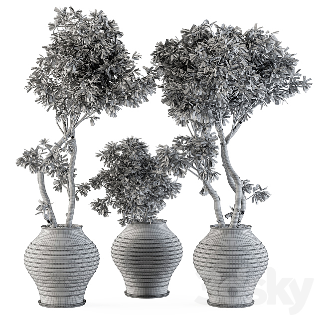 Outdoor Plants tree in Concrete Pot – Set 89 3DSMax File - thumbnail 4