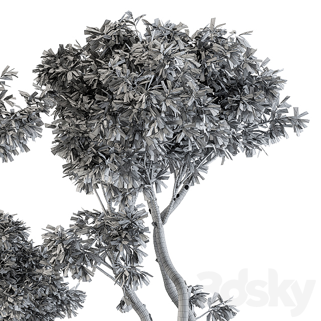 Outdoor Plants tree in Concrete Pot – Set 89 3DSMax File - thumbnail 5