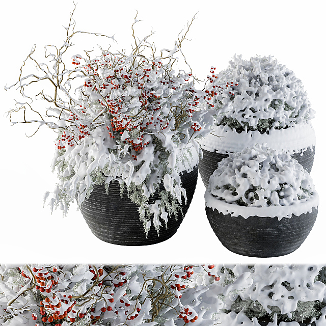 Outdoor Plants tree in Concrete Pot Snow – Set 107 3ds Max - thumbnail 1