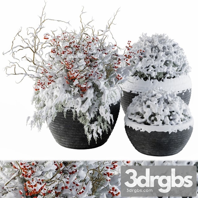 Outdoor plants tree in concrete pot snow – set 107 - thumbnail 1