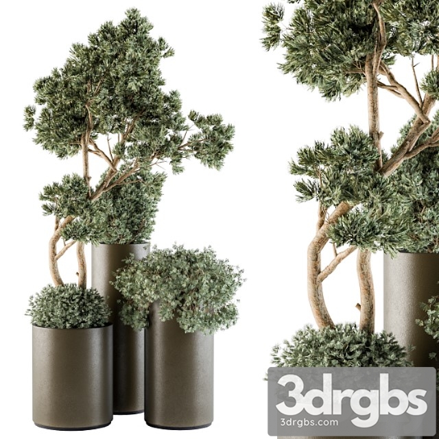 Outdoor plants tree in metal pot – set 102 - thumbnail 1