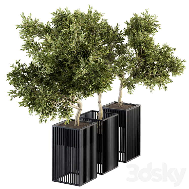 Outdoor Plants tree in Metal Pot – Set 134 3DS Max - thumbnail 1