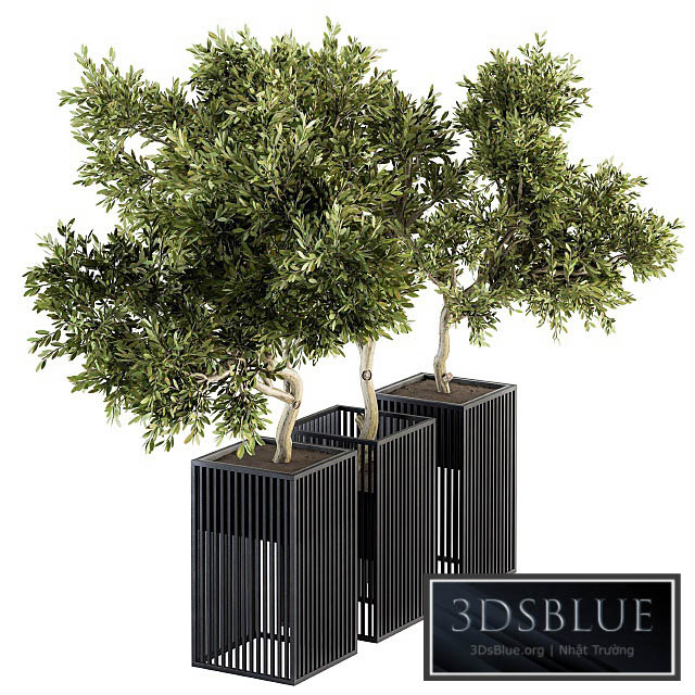 Outdoor Plants tree in Metal Pot – Set 134 3DS Max - thumbnail 3