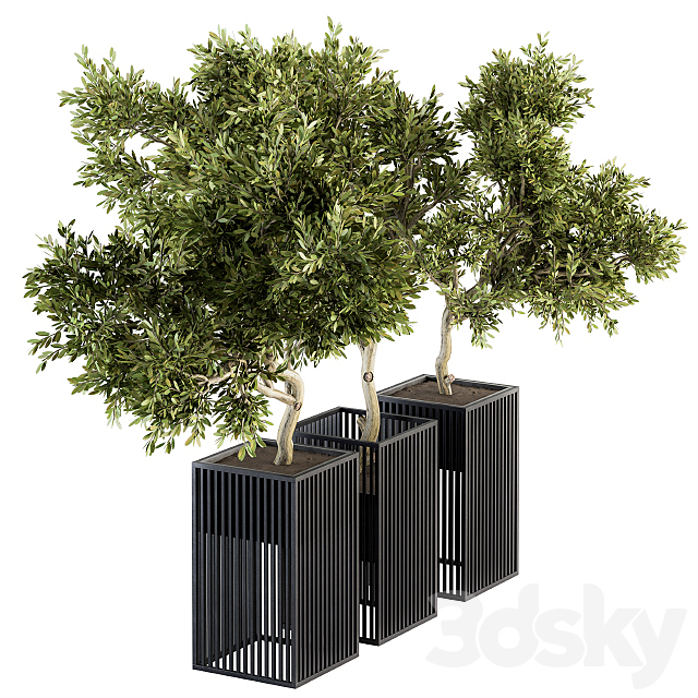 Outdoor Plants tree in Metal Pot – Set 134 3DSMax File - thumbnail 1