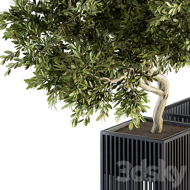 Outdoor Plants tree in Metal Pot – Set 134 3DSMax File - thumbnail 4