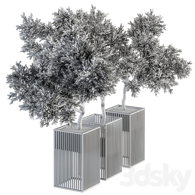 Outdoor Plants tree in Metal Pot – Set 134 3DSMax File - thumbnail 5